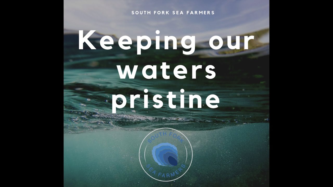 South Fork Sea Farmers Present - A History of NYS Shellfish with Kim Tetrault - 5/27/21