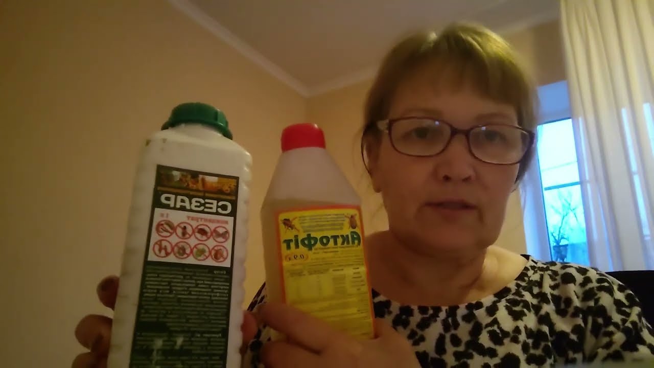 як і чим я обробляю полуницю з весни.