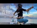 [堤防カツオ]初心者セットを持って青物を狙いにやってきた！