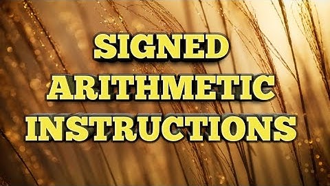 Signed Arithmetic Instructions