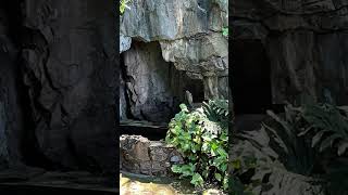 #South Africa - The Sudwala Caves in Mpumalanga