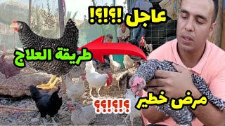 و اخيرا وجدت طريقة لعلاج هدا المرض الخطير الدي يضرب الدجاج باستمرار