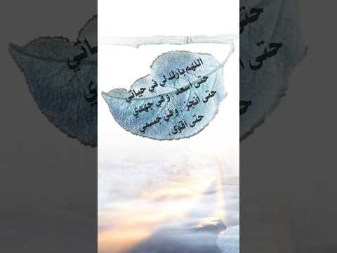 اللهم بارك لي في حياتي قرآن كريم طارق المحيسني