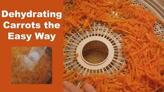 How to Dehydrate Carrots the Easy Way | Long Term Food Storage on a Budget