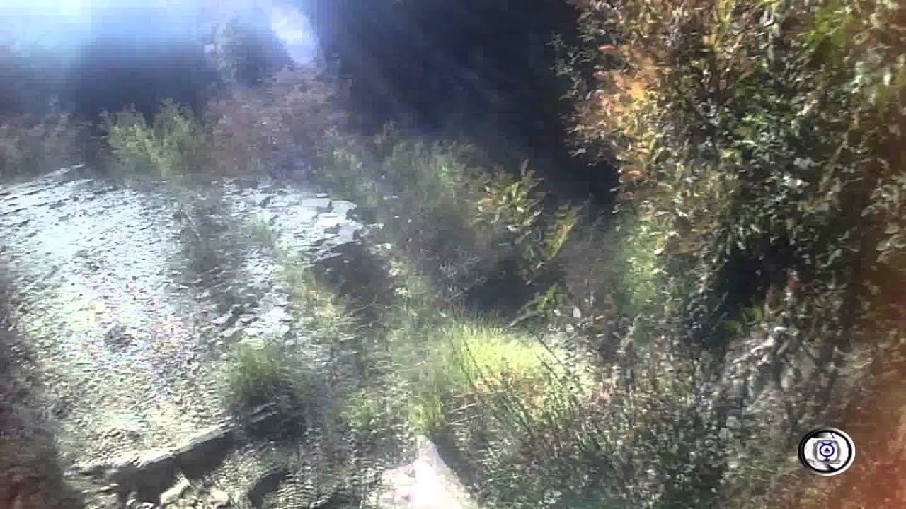 Esplorazioni @ Cascate San Fele - PSYCHILL - Forest Flowers "Midnight Sun "