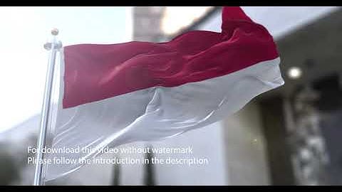 Indonesia flag with 3d effect blowing in the wind 3D Flag V2 long