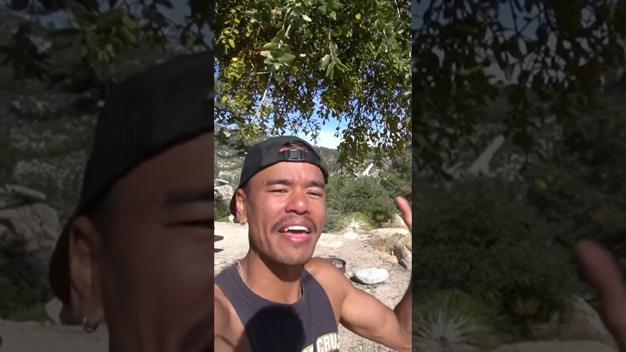 Mistletoes Are Parasites?!