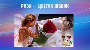 Роза - цветок любви