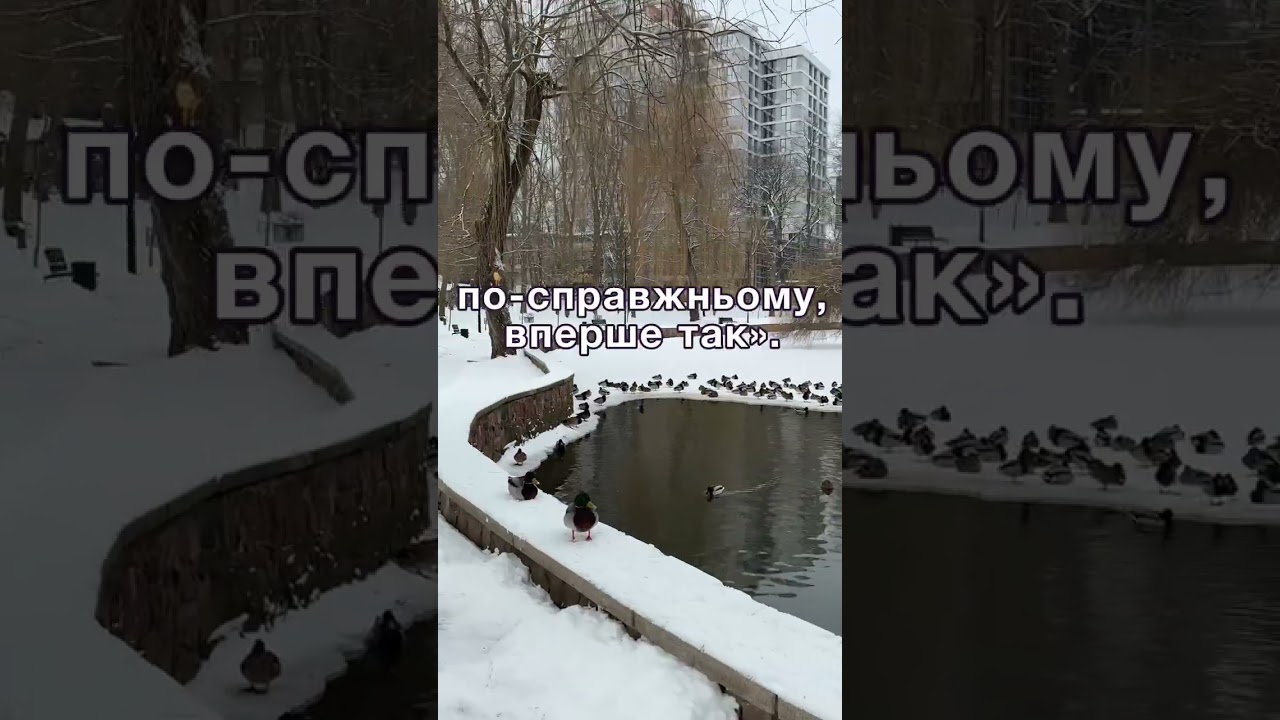 Чоловіча дружба розбилася об кохання