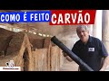 COMO É FEITO CARVÃO para CHURRASCO - TvChurrasco