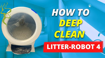 Ultimate Guide To Cleaning The Litter-Robot 4 | 2025 Edition
