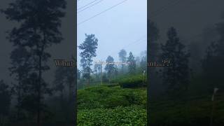 What type of peace you want...??⛰️🌱🌿#travel #what #trending #want #mountains #peace #viral #type #of