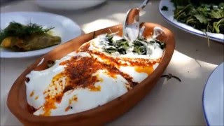 Gezgin Damaklar Kuzey Ege  LezzetTuru / North Aegean Food and Culture Tour