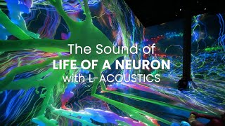 The Sound of 'Life of a Neuron' || ARTECHOUSE with LAcoustics