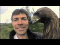 Real birds eye view! Golden Eagle in flight - Animal Camera - BBC