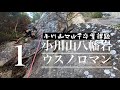 【マルチピッチクライミング】小川山八幡岩ウスノロマン（１）