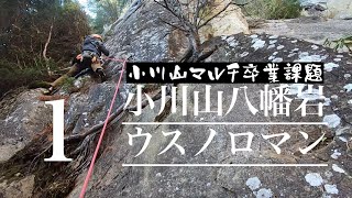 【マルチピッチクライミング】小川山八幡岩ウスノロマン（１）