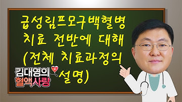 [김대영의 혈액사랑] 급성림프모구백혈병 치료 전반에 대해 (전체 치료과정의 설명)