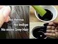 3 Ingredients | Homemade Hair Dye | 100% Natural | Turn your Grey Hair into Black...