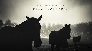 Changing Perspective
