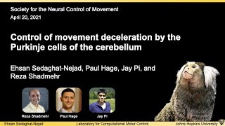 Ehsan Sedaghat-Nejad, Control of movement deceleration by the Purkinje cells (04/20/21)