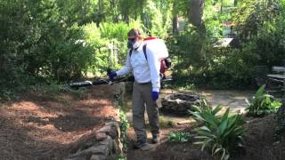 MOSQUITO COMMANDER and PEST SOLUTIONS Intro