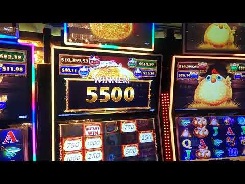 Harry ZAMORA vs Sang HO KIM , OPEN TOURNAMENT -MAY 2024 -QUECHAN CASINO- YUMA ARIZONA
