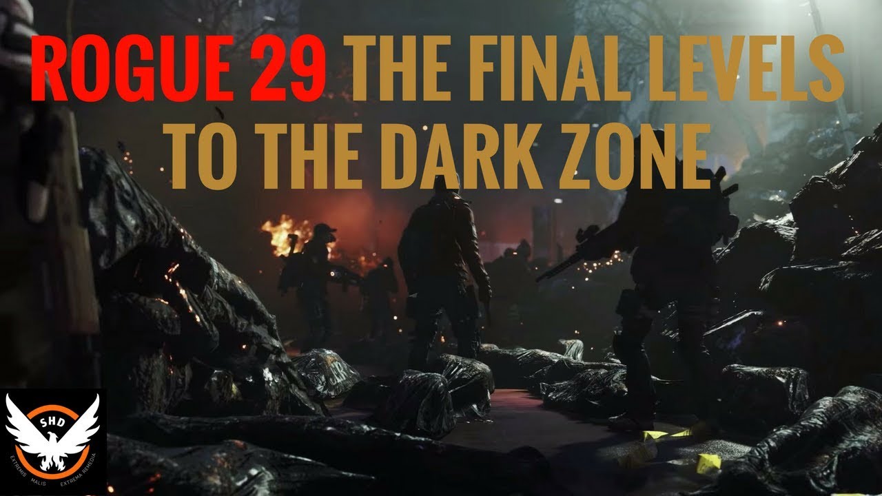 The Division -  Rogue 29 The Final Levels To The Dark Zone!