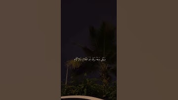 {كُلُّ مَنْ عَلَيْهَا فَانٍ} سورة الرحمن آية ٢٦
