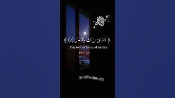 أكتب شي تؤجر عليه 🌹♥️♥️🌹 حالات واتس اب المنشاوي تلاوة مبكيه 🥺♥️🌹