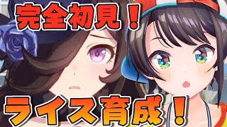 【#生スバル】らいすしゃわ～～～～～～わ～～～～！！！！：UMA MUSUME【ホロライブ/大空スバル】