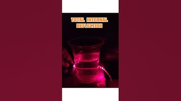 Total internal reflection experiment #shorts #scienceexperiment