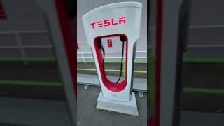 TESLA HACK WITH TESERY ring# Tesla #automobile #テスラ #modely #model3