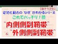 姿勢と動きの“なぜ”がわかるシリーズ、これでバッチリ！膝“内側側副靭帯”＆“外側側副靭帯”