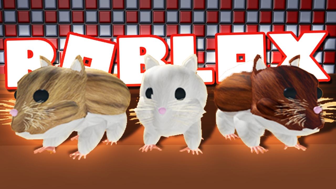 Becoming Hamsters In Roblox Youtube - roblox hamster game