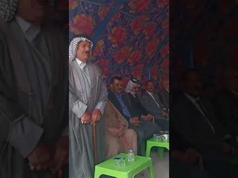 مشية خطوبه عشيرة ابو نشاشي سيد عبود القصير