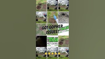 Riverside Gopher control from Southland Pest Control