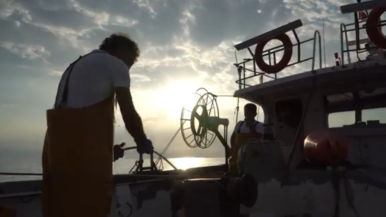 Pesca del gambero con le nasse