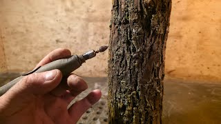 Live dremel carving eagle in a log - Russian olive