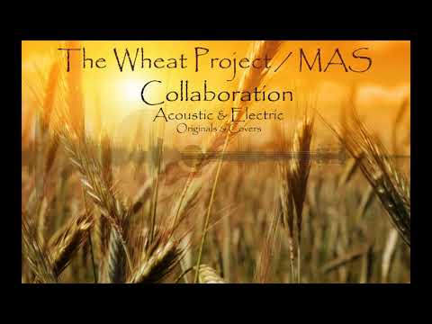 The Wheat Project - Devil Woman (Cover)