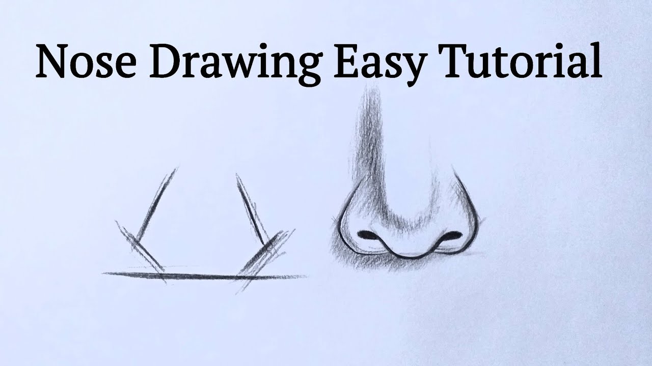 70+ Drawings Of Noses: Sketches, Studies & Sketchbook Examples