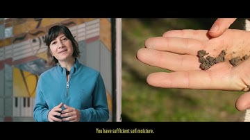 Water and Soil Management in Cotton Production