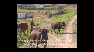 Murat Çobanoğlu Arada Gel