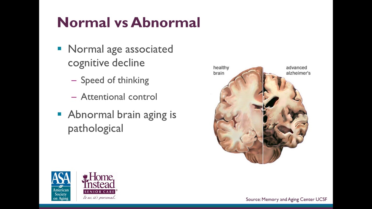 The Aging Brain