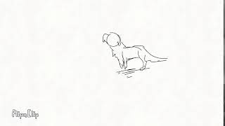 Random Animation practices