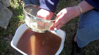 Confederate Prison dig 2012