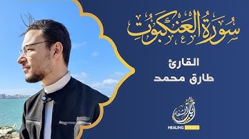 سورة العنكبوت كاملة القارئ طارق محمد | Surat Al-'Ankabu