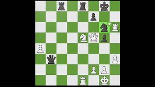 !!! Magnus ⭐ Brilliancy 🤫 Edit ⭐⭐🤫✨ #chess #chessopening #chessstrategy