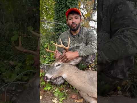 Vídeo: Como caçar cervos (com fotos)