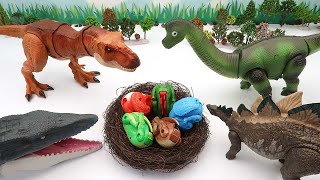 Who's Dinosaur Eggs? Transformer 3D Dino Eggs - T-Rex, Stegosaurus, Brachiosaurus Bone Fossil